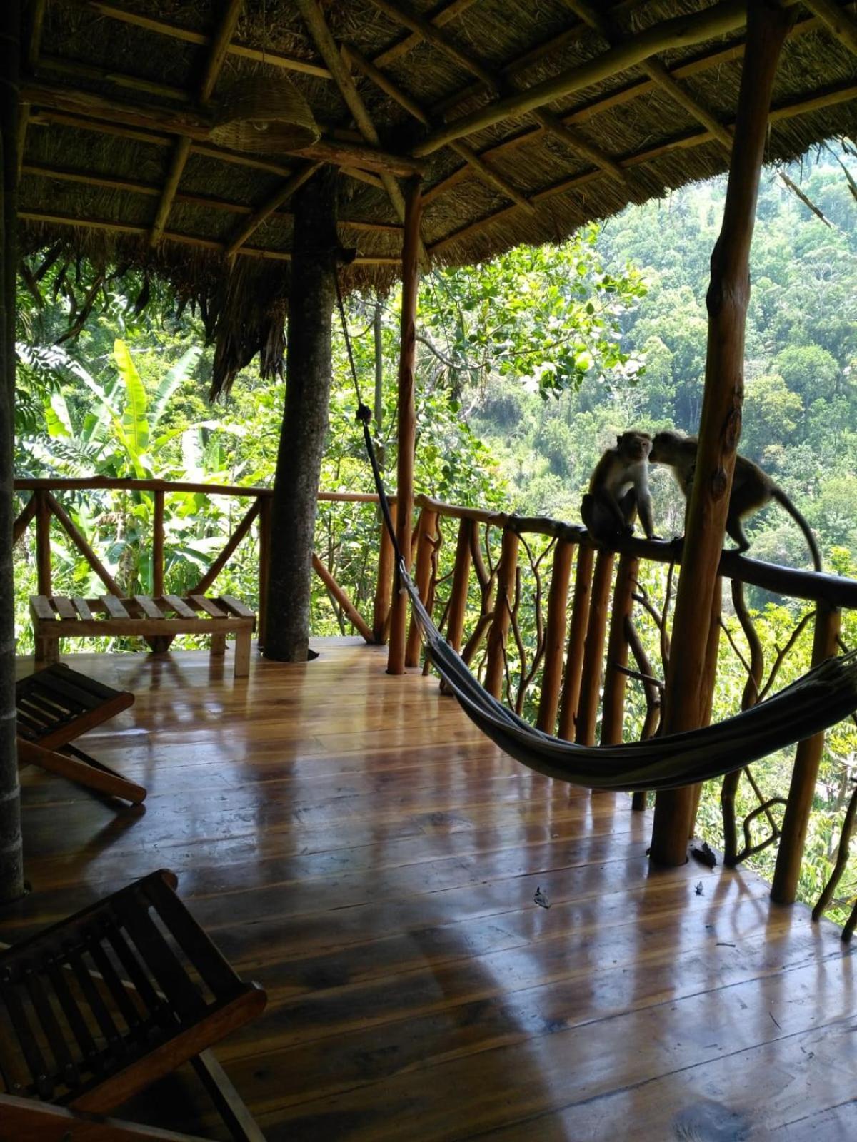 Hotel Ella Treehouse Exterior foto